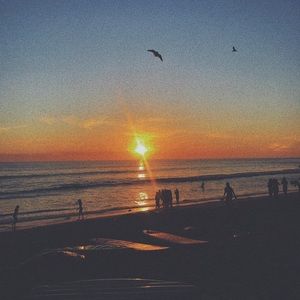 Meet your Posher, Isabel